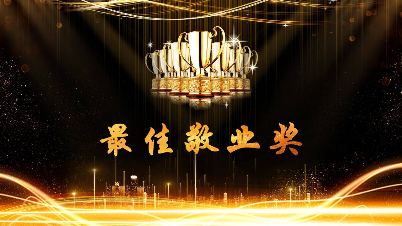 晚会颁奖 (9).pptx